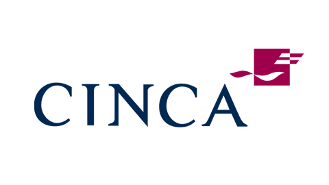  CINCA COLORATO